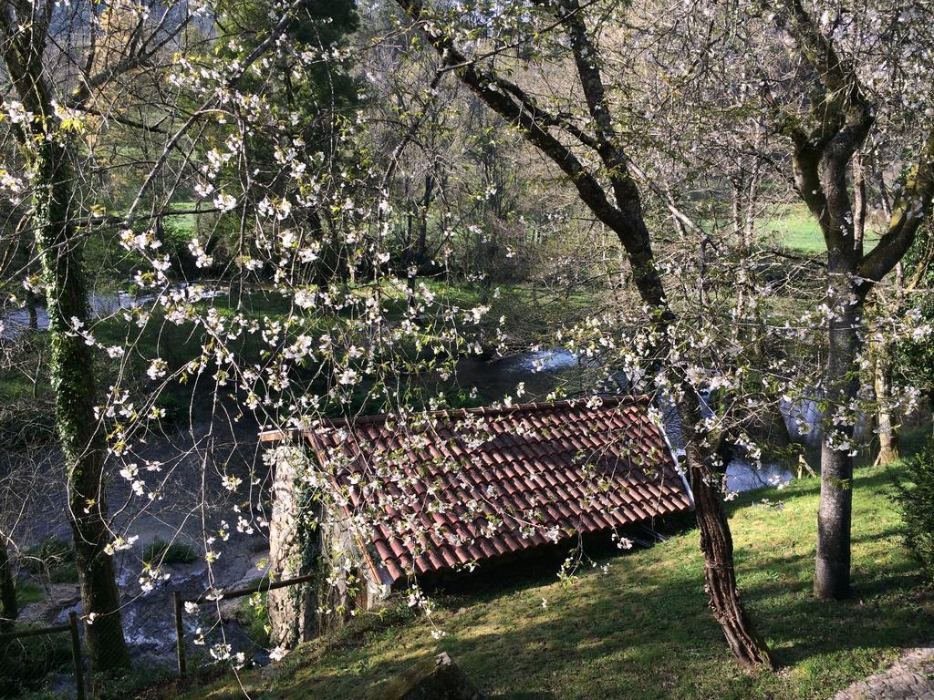 Quinta Do Rio Homem Caldelas Exterior foto
